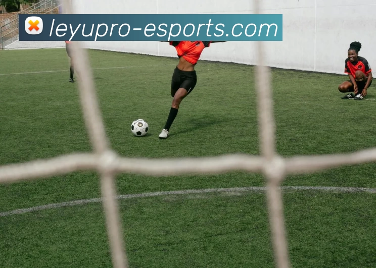 职业电竞服务体系